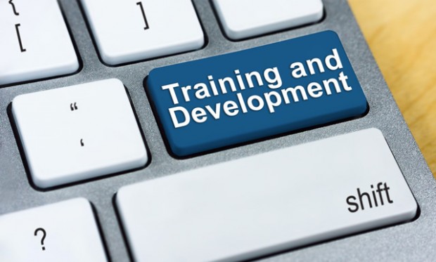 Career Development and Training