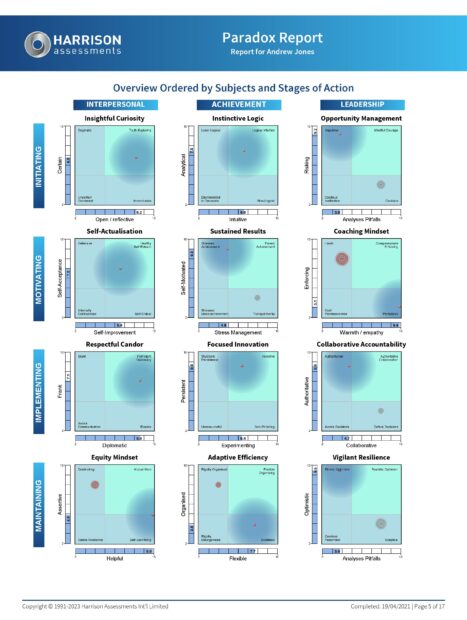 image of the overview page of a Paradox Harrison Assessment report for the avatar Andrew Jones showing the 12 Paradox graphs